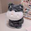 Cute Big Face Cat With Birthday Hat Fruit Cake Snack Bib Decor Kawaii Grey Orange Cats Kittens Plushie For Kids Birthday Gift