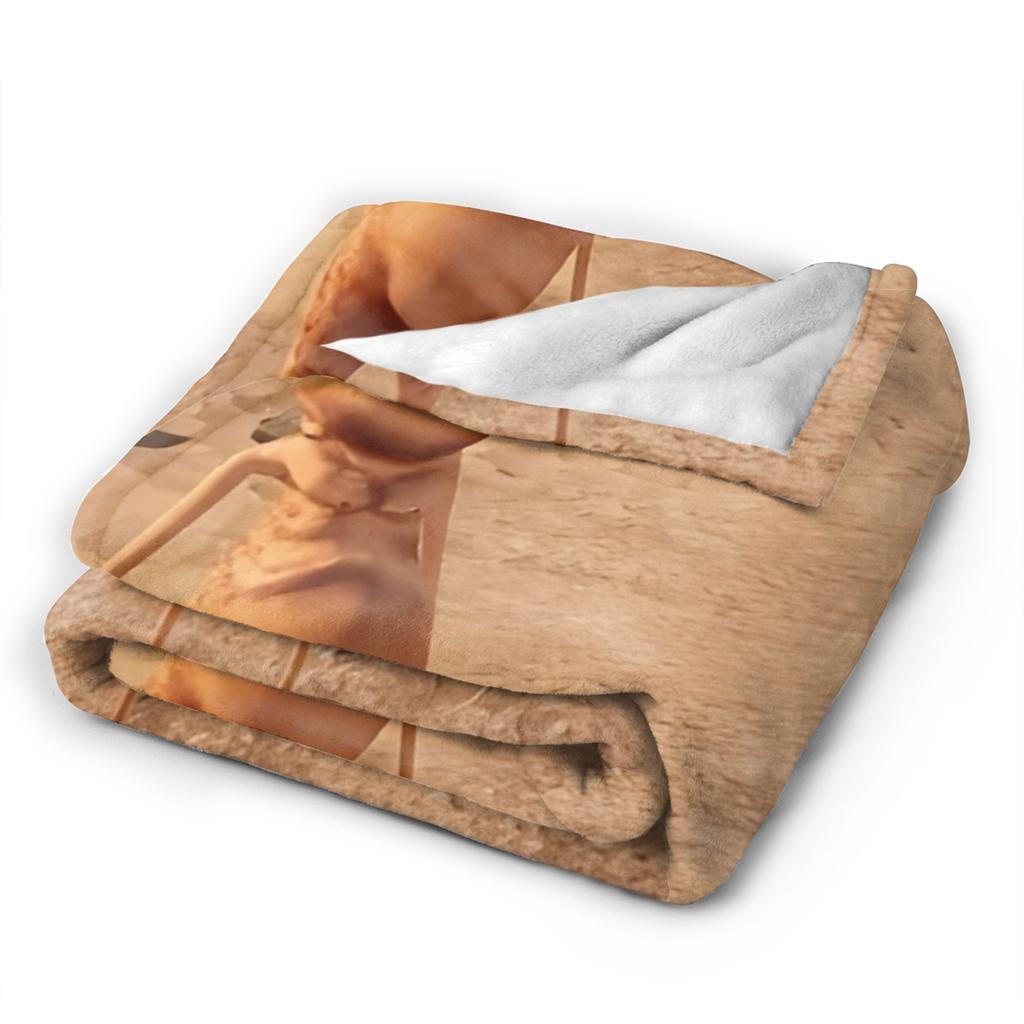 Marcus the Worm Vtipný Meme Potisk Deka Pro Muže Ženy Super Měkká Útulná Přehozová Deka na Postel 50x60 Palců Více Velikostí