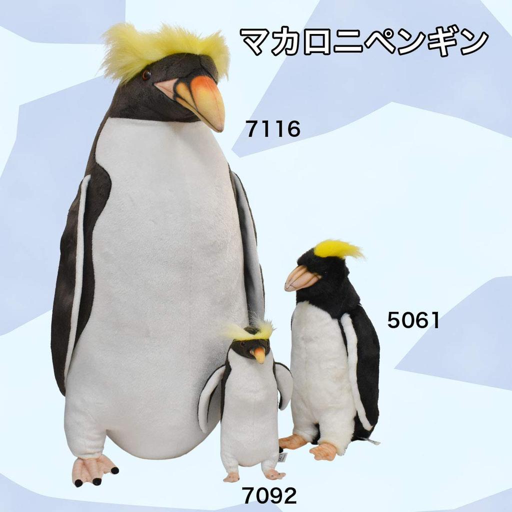 Macaroni Penguin 23 BH7092