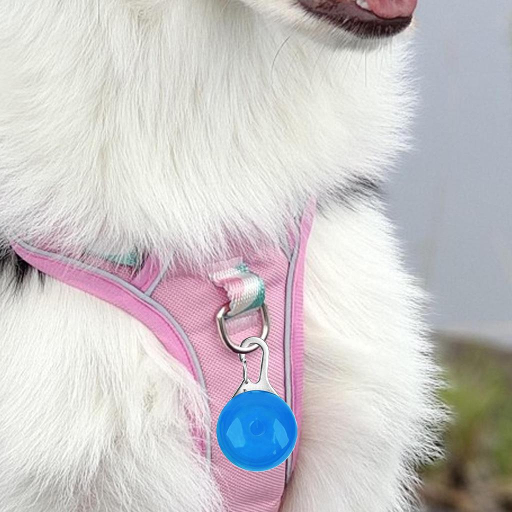 LED Dog Collar Light, Waterproof Night Safety Light for Small Medium Large Dogs, for Camping, Hiking & Night Walking