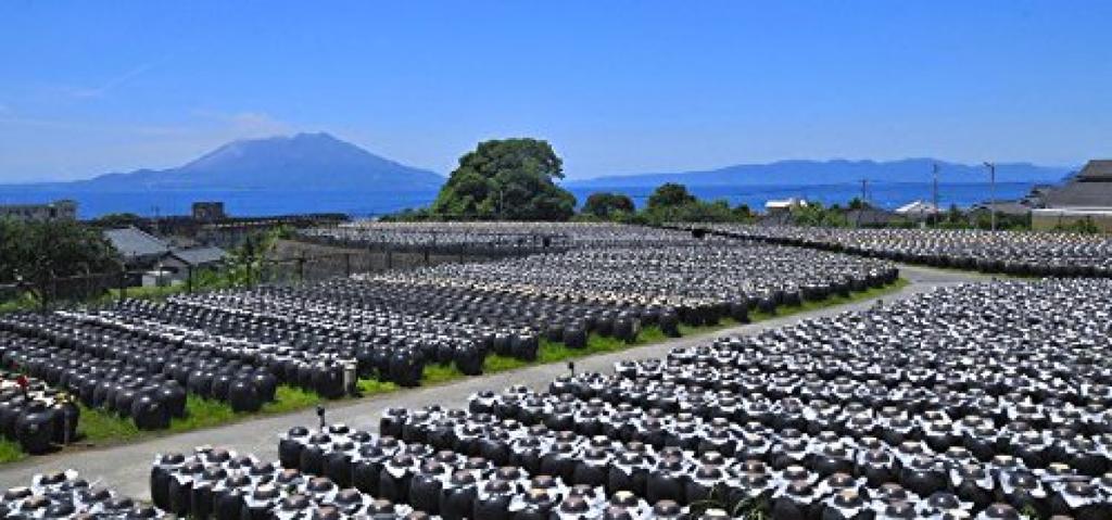 Kurozu Tenju 720ml X 3 Bottles Set Sakamoto's