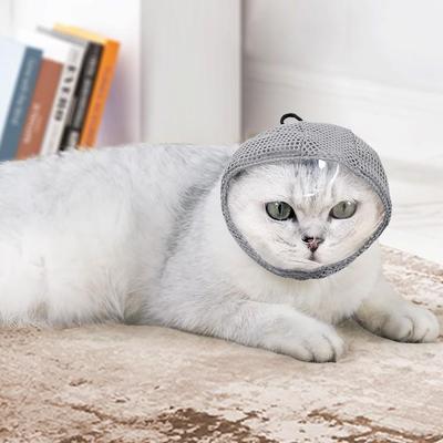 Gatos – Roupa para gatos