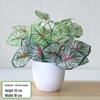 Artificial Green Radish Leaf Potted Plant for Living Room and Desktop Decoration