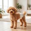 Disposable Dog Diapers Male Absorbent Dog Nappies S 30-48 cm