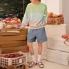 Levis Fresh Series Pure Cotton Striped Straight Casual Shorts Men Shorts Blue A2049-0000
