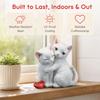 Stable Outer Coating Finish Resin Cat Figurine for Garden and Shelf