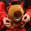 20-25cm Kawaii Graduation Dr.Capybara Plush Toy Cute Christmas Hat Kapibala Soft Doll Boys Girls Child Students Graduation Gift