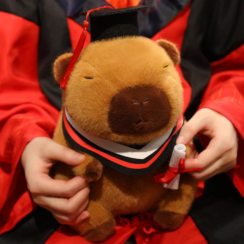 20-25cm Kawaii Graduation Dr.Capybara Plush Toy Cute Christmas Hat Kapibala Soft Doll Boys Girls Child Students Graduation Gift
