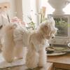 Organza Dog Tutu Dress Lace Ruffle Princess Dog Dress for Small Dogs Girl Shih Tzu Yorkie Clothes