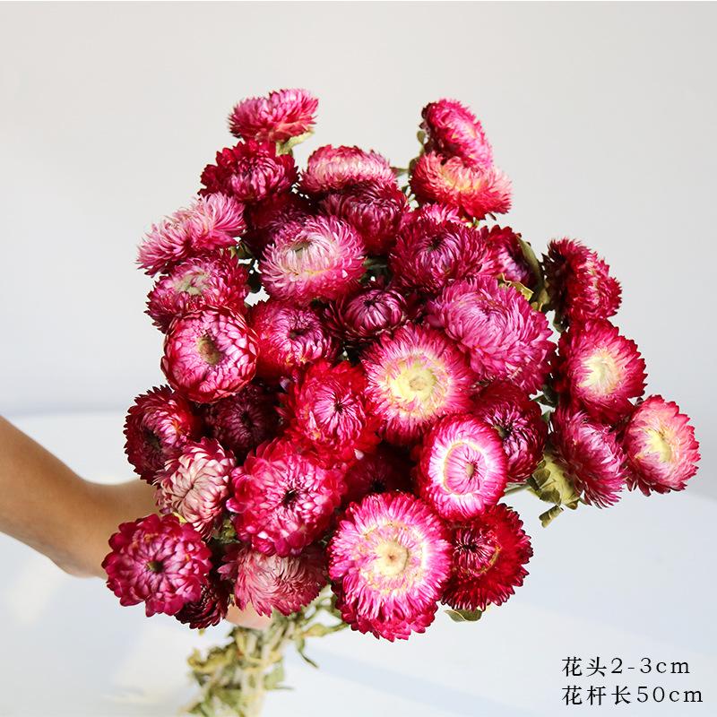 Daisies dried flower bouquet decorative ornament shooting props natural real flower arrangement bedroom dried bouquet