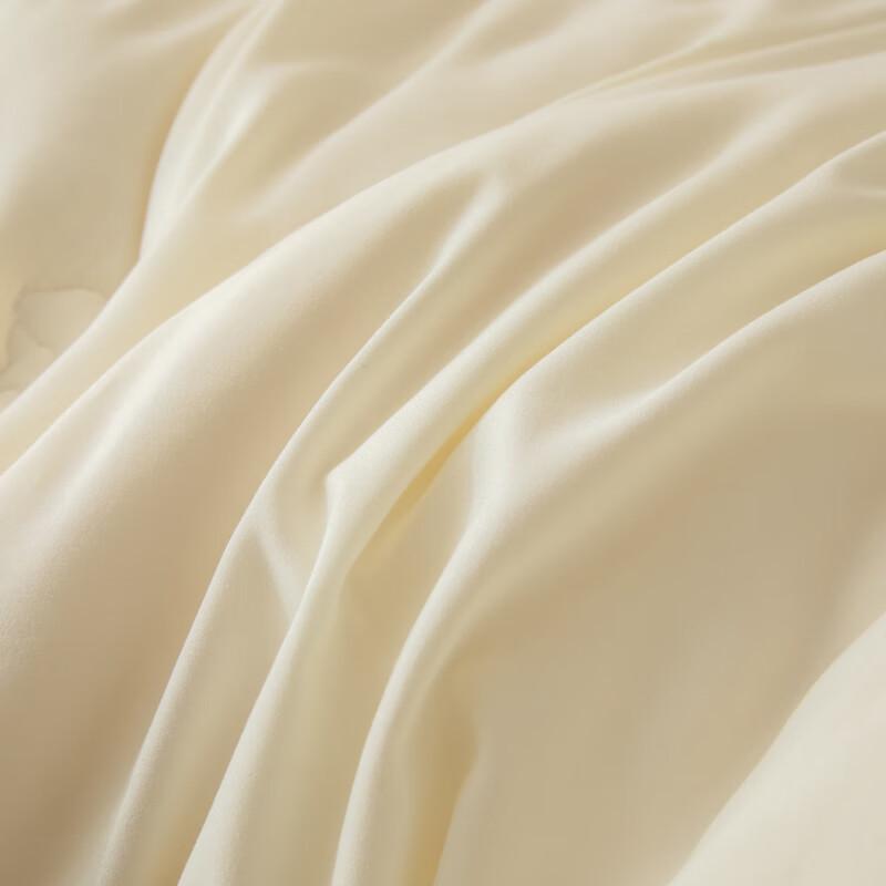 Muji Winter Warm Single Fiber Duvet Insert