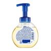 Safeguard White Tea Foaming Hand Wash