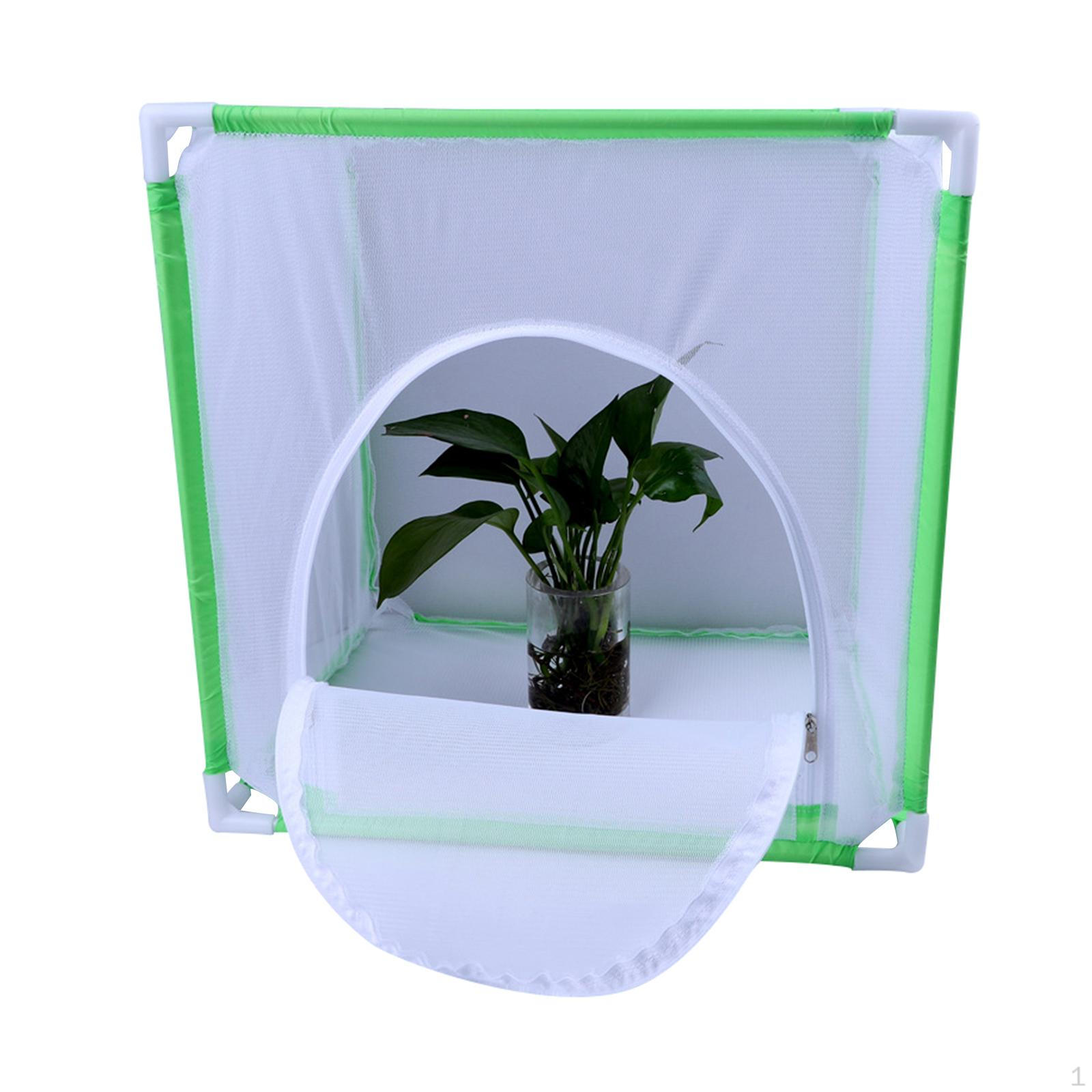 

Butterfly Habitat Mesh Cage House for Observation Raising зелений