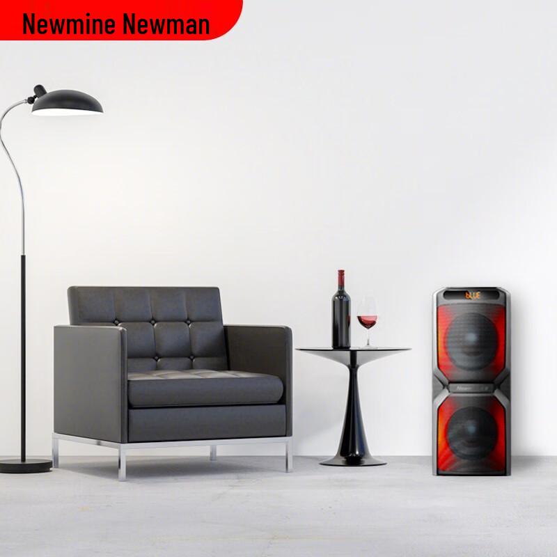 Newmine A2 Portable Bluetooth Karaoke Speaker
