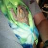 1 Animal Harness with Adjustable and Comfortable Lizard and Reptile Straps, Breathable and Suitable for Outdoor Activities
