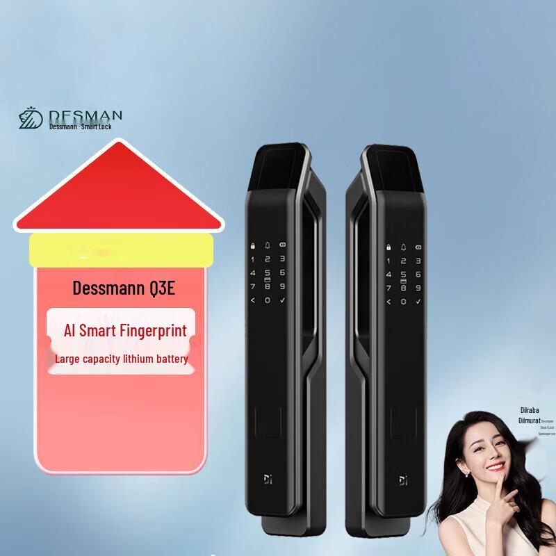DESMAN Q3E Fully Automatic Smart Door Lock
