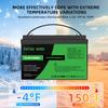 Batterie Ioni di Litio LiFePO4 12V 100AH Germania Magazzino UE BMS 100A Adatte per Campeggio, Camper, Sistema di Energia Solare per la Casa