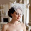 Romance Bird Nest Wedding Veil Tulle Veil Headpiece For Bride Special Occasion Gathering Ceremony Photography Headwear