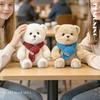 Cute Teddy Bear Plush Toy Scarf Doll - Perfect Gift for Children or Girlfriend