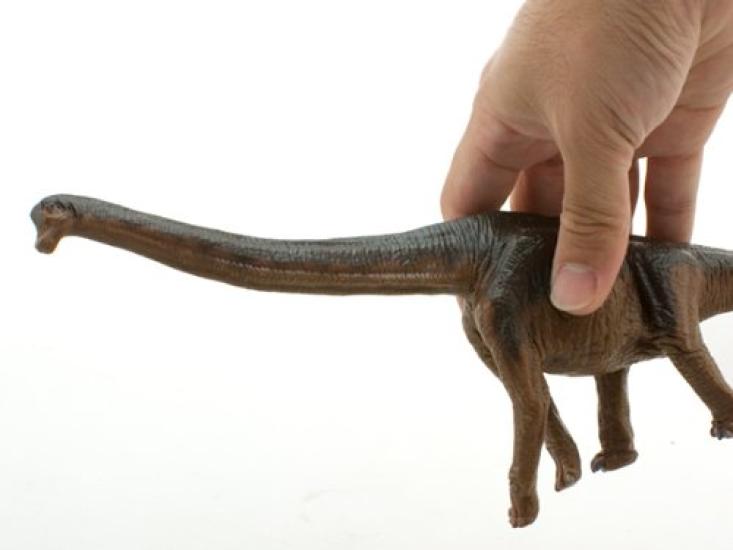 Brachiosaurus Soft Model L31 X X H13cm (FDW-008) W4.8