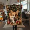 Cute Corgi,pattern Flannel Blanket, High Quality Comfortable for All Seasons, Home Decor, Warmth and Comfort, Perfect for Gifts.