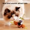 Giocattolo per Gatti Sonoro Uccellino Colorato Gioco Interattivo per Animali Domestici e Regalo