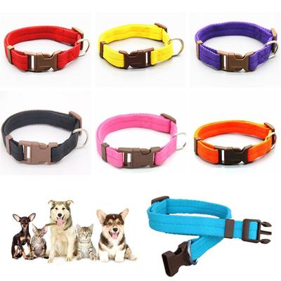 Köpek – Köpek Tasmaları ve Tasma Kayışları