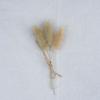 Classic Rustic Dried Flower Bundle Aesthetic Photography Props Minimalist Home Room Desk Vases Decor Accessories