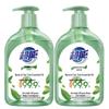 Chao Neng Natural Tea Tree Antibacterial Hand Soap
