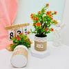 Floral Camellia Sasanqua Pot Potted Plant For Wedding Table And Space Green