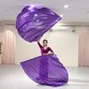 2Pcs Praise Dance Flags Semicircle Angel Wing Flags Praise Dance Worship Flags with Scalable Rod for Dance Church