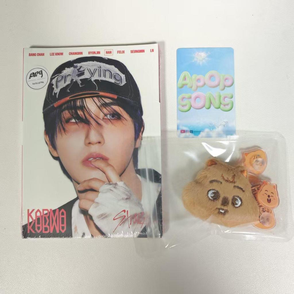 Stray Kids Accesorii Crocs, 17 buc