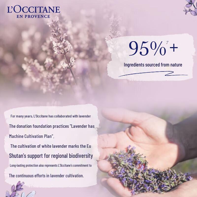 L'Occitane White Lavender Scented Body Lotion