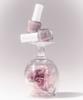 Salon de Nail Polish Magnet 10 Colors