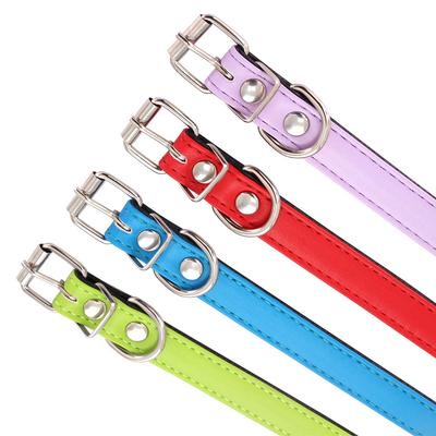 Köpek – Köpek Tasmaları ve Tasma Kayışları