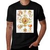 TrachomedusaeKolbenquallen Jellyfish Ernst Haeckel TShirt Cool Dry Performance TShirt