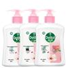 Dettol Moisturizing Antibacterial Hand Wash (3-Pack)