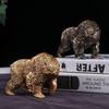 Ручна Статуетка Сововедмедя в Стилі Sci-Fi для Геймерів, Колекціонерів та Творчих Подарунків