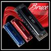 QIMEI Blues Stainless C Airtight for Beginners and Advanced Players Harmonica, 10/24 Holes, Steel, Key, Case, (10 Holes, Red)