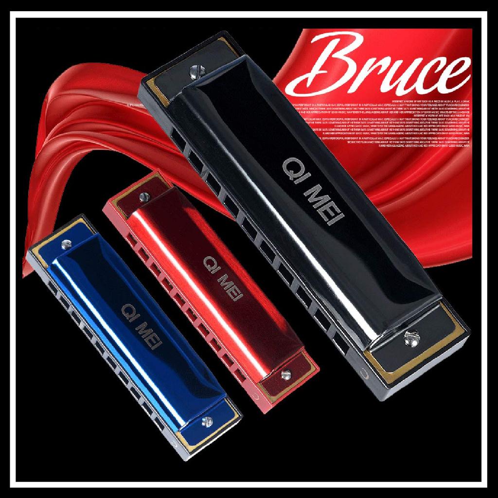 QIMEI Blues Stainless C Airtight for Beginners and Advanced Players Harmonica, 10/24 Holes, Steel, Key, Case, (10 Holes, Red)