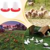 Chicken Feeder Automatic Chicken Feeders Poultry Feeding & Watering Supplies for Farm Pet Outdoor Baby Barn Family Livestock
