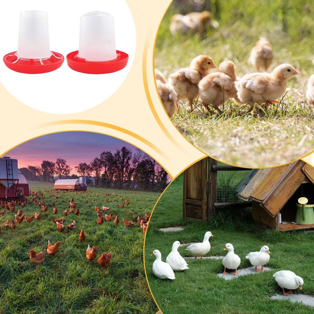 Chicken Feeder Automatic Chicken Feeders Poultry Feeding & Watering Supplies for Farm Pet Outdoor Baby Barn Family Livestock