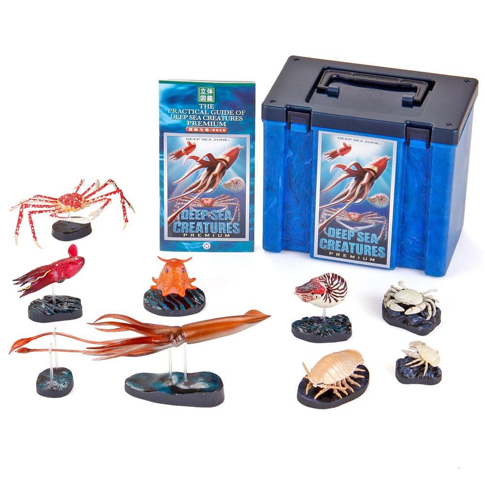 Calorata Deep Sea Creatures 3D Encyclopedia Crab 8 Species Includes Instruction Manual and Realistic Figures Birthday Present Gift Sanitation Law Toy