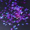 Resin Filling Sequins Jewelry Epoxy Craft DIY Resin Mold Manicure Decorations