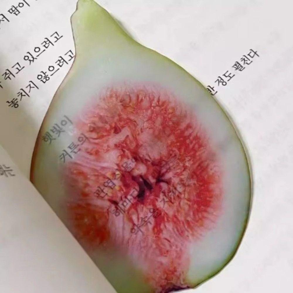 Simulation Fruit Simulation Bookmark Acrylic Note Bookmark Creative Fruit Apple Slice Bookmark