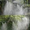 5-30M Automatic Misting Watering Kit Fog Nozzles Irrigation System Garden Spray Head Courtyard Cooling Sprinkler Set 4/7mm Hose