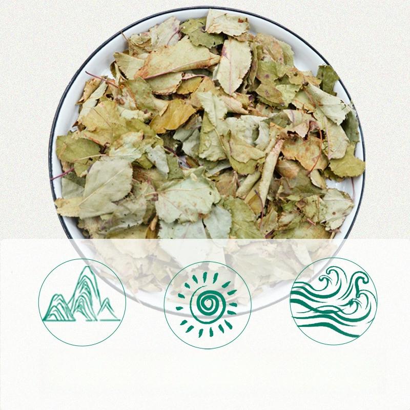 Shennong Pharmazeutische Russische Blatt-Tee Tibetischer Teebeutel-Tee 40g Gesundheitstee