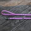Hexa City Dog Leash, Width , S, /Lavender