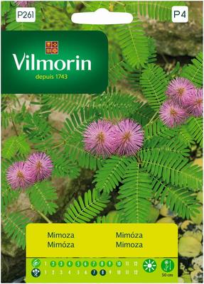 Mimosa Bashful seeds 0,8g -