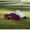 AdidaS Golf Women S Golf ShoeS Code chaoS Boa 25 SpikeleSS